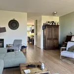 Rent 5 bedroom house of 152 m² in Parkrijk