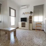 Rent 1 bedroom apartment in Don Benito