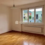 Rent 7 bedroom apartment in Geneva