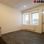 Pronajměte si 1 ložnic/e byt o rozloze 30 m² v Brno