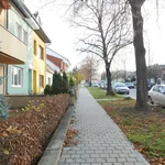 Rent 1 bedroom apartment of 45 m² in Brno