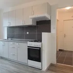 Rent 2 bedroom apartment of 49 m² in Ostrava