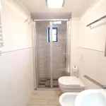 Affitto 3 camera appartamento di 45 m² in Lido di Classe