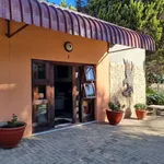 Rent 1 bedroom apartment in Polokwane