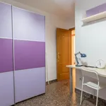 Alquilar 4 dormitorio apartamento en Valencia