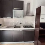 Rent 1 bedroom apartment of 59 m² in Genova