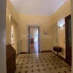 Rent 4 bedroom apartment of 110 m² in Torino