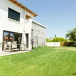 Rent 3 bedroom apartment of 77 m² in Montpellier