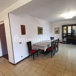 Rent 4 bedroom apartment of 140 m² in Catanzaro