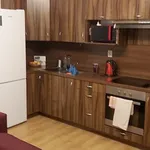 Rent 1 bedroom apartment in Capital City of Prague