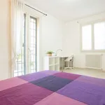 Rent a room in bologna