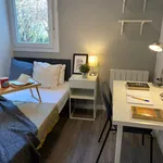 Alquilar 7 dormitorio apartamento en Madrid