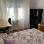 Alquilar 3 dormitorio apartamento en Madrid