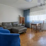 Rent 3 bedroom apartment of 64 m² in Łódź