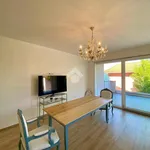 Rent 4 bedroom apartment of 80 m² in Cervia