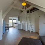 Huur 2 slaapkamer appartement van 45 m² in Eindhoven