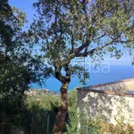 Rent 4 bedroom house of 120 m² in Cefalù