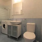 Rent 1 bedroom apartment of 31 m² in Prague