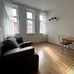 Rent 1 bedroom apartment of 25 m² in Poznan