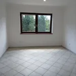 3 Zimmer Wohnung mit großem Balkon in Pitten zu vermieten!