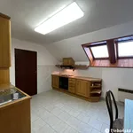 Rent 1 bedroom house of 665 m² in Třeboň