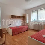 Rent 3 bedroom apartment of 60 m² in Trento