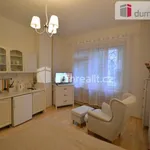 Rent 1 bedroom apartment in Capital City of Prague