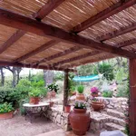 Rent 3 bedroom house of 70 m² in Monte Argentario