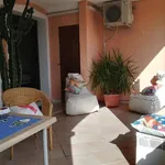 Rent 1 bedroom apartment of 35 m² in Arzachena