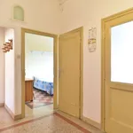 Rent a room of 80 m² in rome