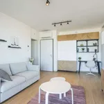 Rent 1 bedroom apartment of 60 m² in rome