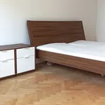 Rent 1 bedroom apartment of 39 m² in Ostrava