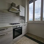 Rent 2 bedroom apartment of 40 m² in Turin