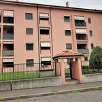 Rent 2 bedroom apartment of 60 m² in Gorgonzola