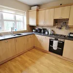 Rent 4 bedroom house in North East England