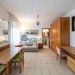 Rent 1 bedroom apartment of 35 m² in Milano