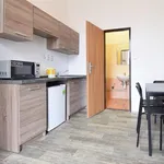 Rent 1 bedroom apartment in Brno