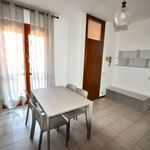 Rent 2 bedroom apartment of 40 m² in Novara