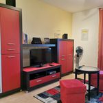 Rent 1 bedroom apartment of 46 m² in Dresden