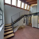 Rent 2 bedroom apartment of 65 m² in Turin