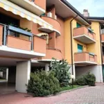 Rent 2 bedroom apartment of 55 m² in Padova