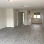 Rent 4 bedroom house of 150 m² in Eindhoven