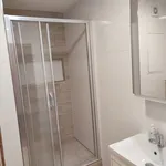 Rent 1 bedroom apartment of 30 m² in Brno