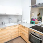 Rent 1 bedroom apartment of 50 m² in Málaga