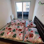 Rent 2 bedroom apartment of 66 m² in Vlkýš