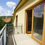 Rent 4 bedroom apartment of 154 m² in Prague