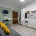 Rent 1 bedroom apartment of 39 m² in Turin