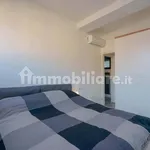 Rent 2 bedroom apartment of 50 m² in Bologna