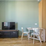 Rent 1 bedroom apartment of 215 m² in Lyon