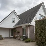 Rent 3 bedroom house of 204 m² in het-gooi